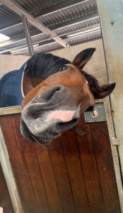 C1E71F2C-78DC-4F1E-98D6-ADE07726DE2E